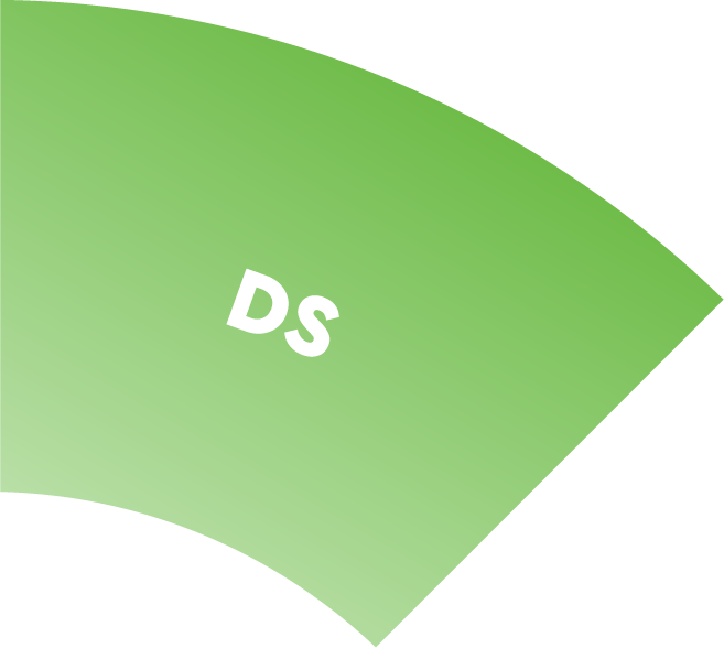 DS