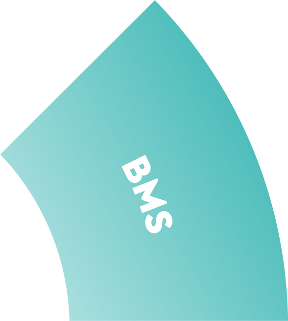 BMS